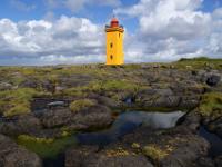 Tümpel bei Ebbe am Stafnes Leuchtturm